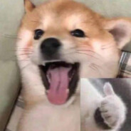 每逢佳節Bass輕