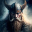 viking punisher