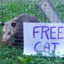 OpossumParty