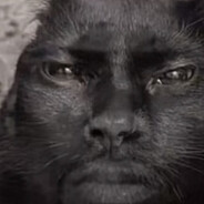 Vindixin's avatar