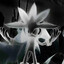 ayne's avatar