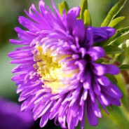 几块钱你真是兢兢业业