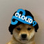 Dog wif C9 hat