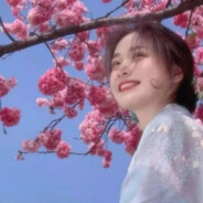 云想衣裳花想容