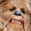 ChewBacca