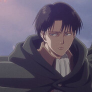 Levi