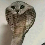 Mkey's avatar