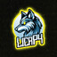 LicaP4