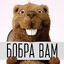 Ёб***ые Бобрi Avatar of player Ёб***ые Бобрi