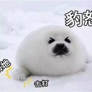 一只莫有感情的恶豹