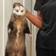 Damnable Animal