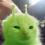 Little Green Alien