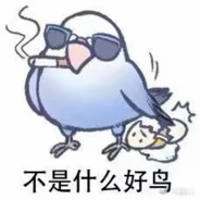 喜欢唱跳爱打篮球