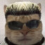 Albert Whiskers