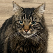 Smudge