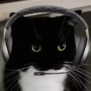 哈基仙人喵内阁