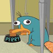 Perry