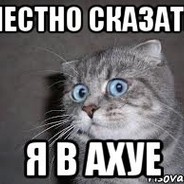 я нуб