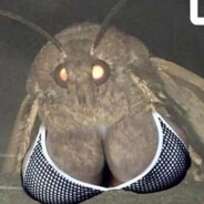 BigTiddyMothGF