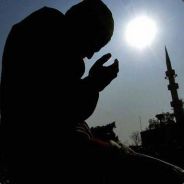 FOREST_06 - steam id 76561197971007299