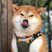 被谁掰弯的月亮