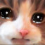 CryingCat