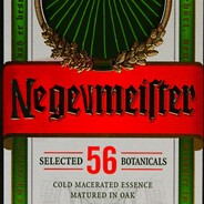 Negevmeister