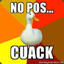 Calla mrd