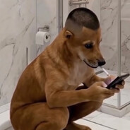 ♕︎Myxorka o_0♕