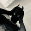 Kingusia&lt;3