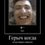 цифры