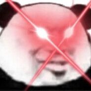 满林的熊猫我肚最白