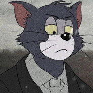 -西伯利亚汤姆猫