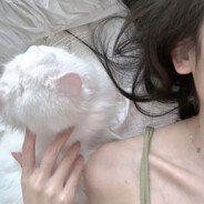 这个游戏不好玩