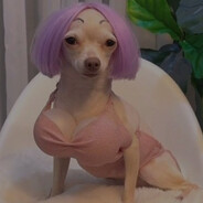 Ms. Handleyournuts - steam id 76561198103079757