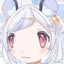 not maplesights