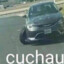 Cotococucha