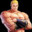 Geese Howard