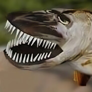 EnarSär avatar