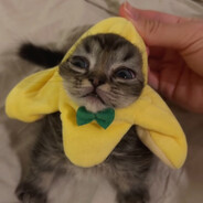 Jaco