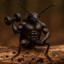Tanno's avatar