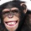 Chimp Peen&#039;s Revunge