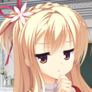 电脑玩家夏莉沃里克