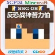 反恐战神苦力怕