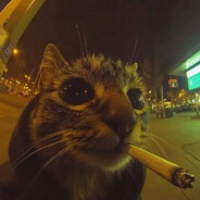 данил колбасенко