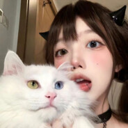 今晚也祝你做个好梦