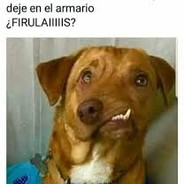 Infirulais to global