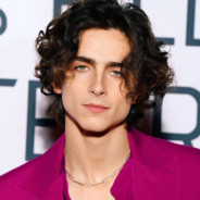 Timothée Chalamet
