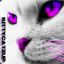 KittyCatzup