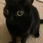 Battlepass lookalike